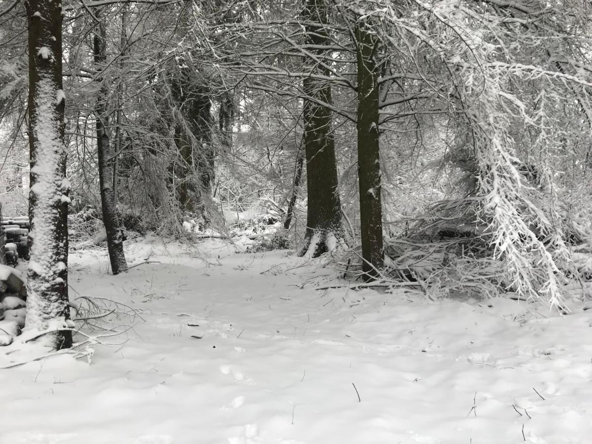 De Swaenhoeve Zoersel 외부 사진